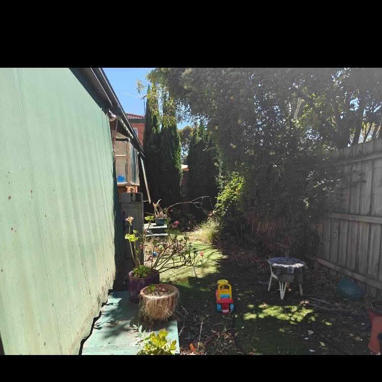 Before: overgrown side path