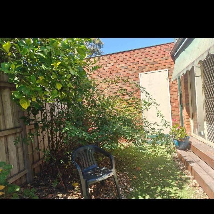 Before: overgrown courtyard